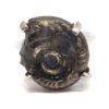 Pyrite ammonite ring