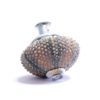 Sea urchin jewellery box mini