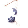 Blue Lotus Titanium earrings